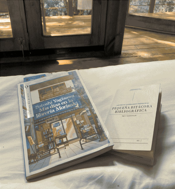 A book and a journal on a bed in a wooden interior.