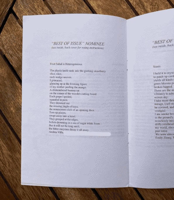 Dithered image of Just Poetry!!! issue opened to the page of the poem 'Fruit Salad is Heterogenous'.