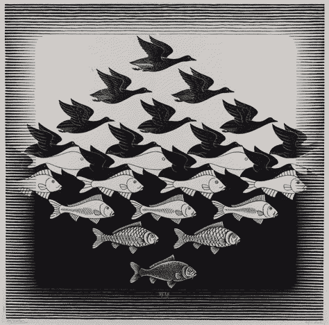 Fish turning into birds